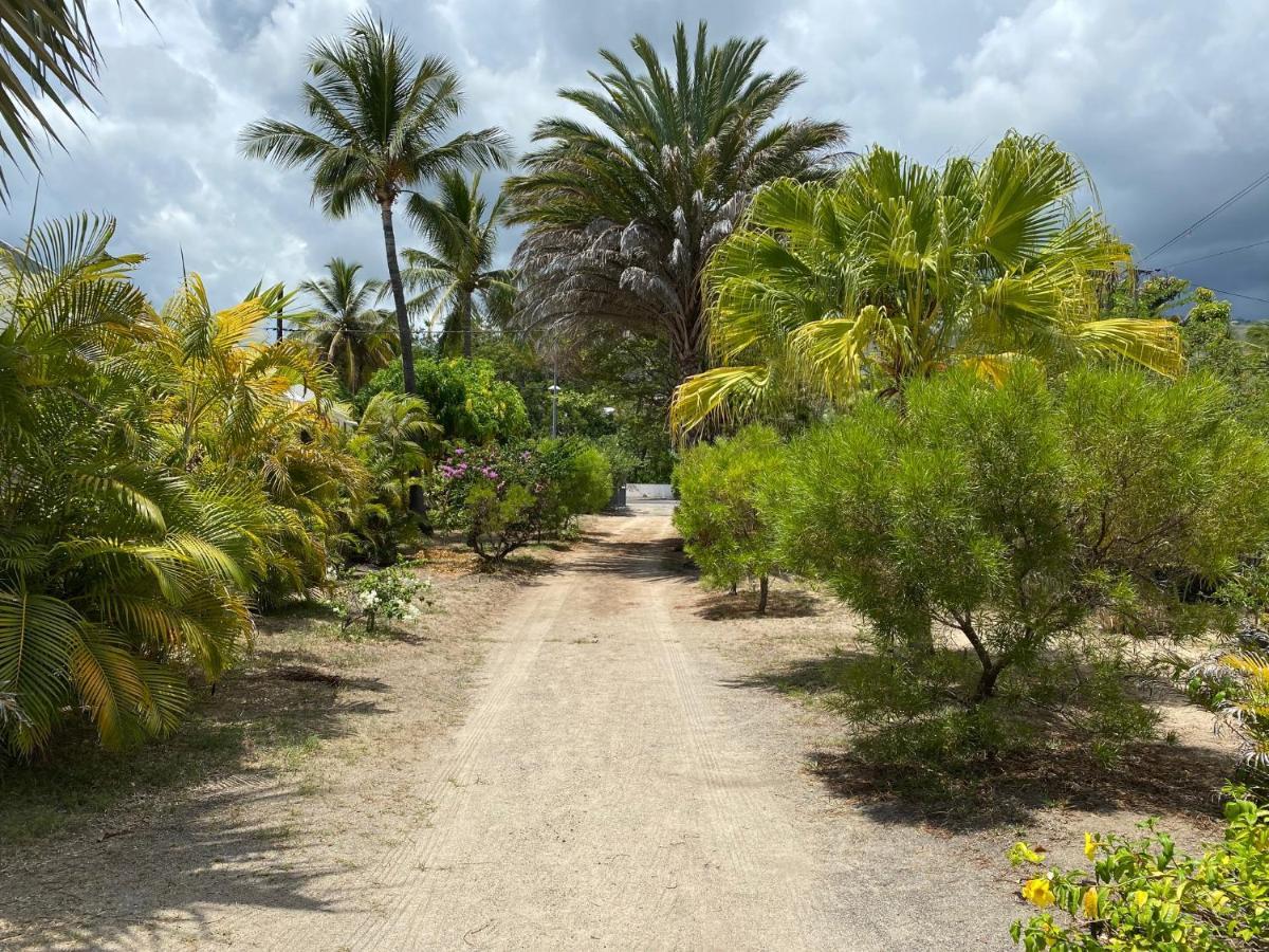 Villa & Bungalow 'Coco Des Sables' Les Pieds Dans L'Eau La Saline Les Bains Exterior foto
