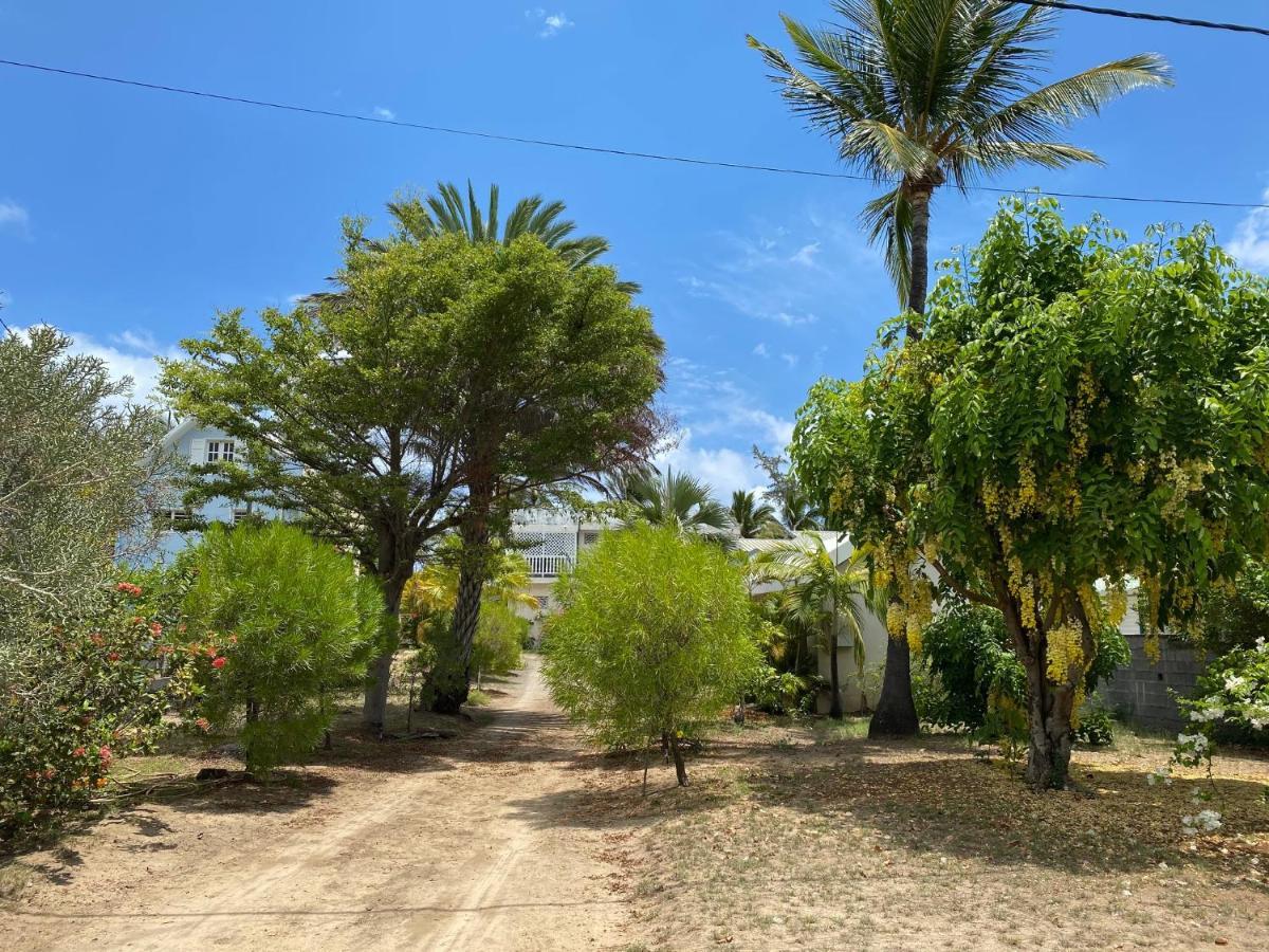 Villa & Bungalow 'Coco Des Sables' Les Pieds Dans L'Eau La Saline Les Bains Exterior foto